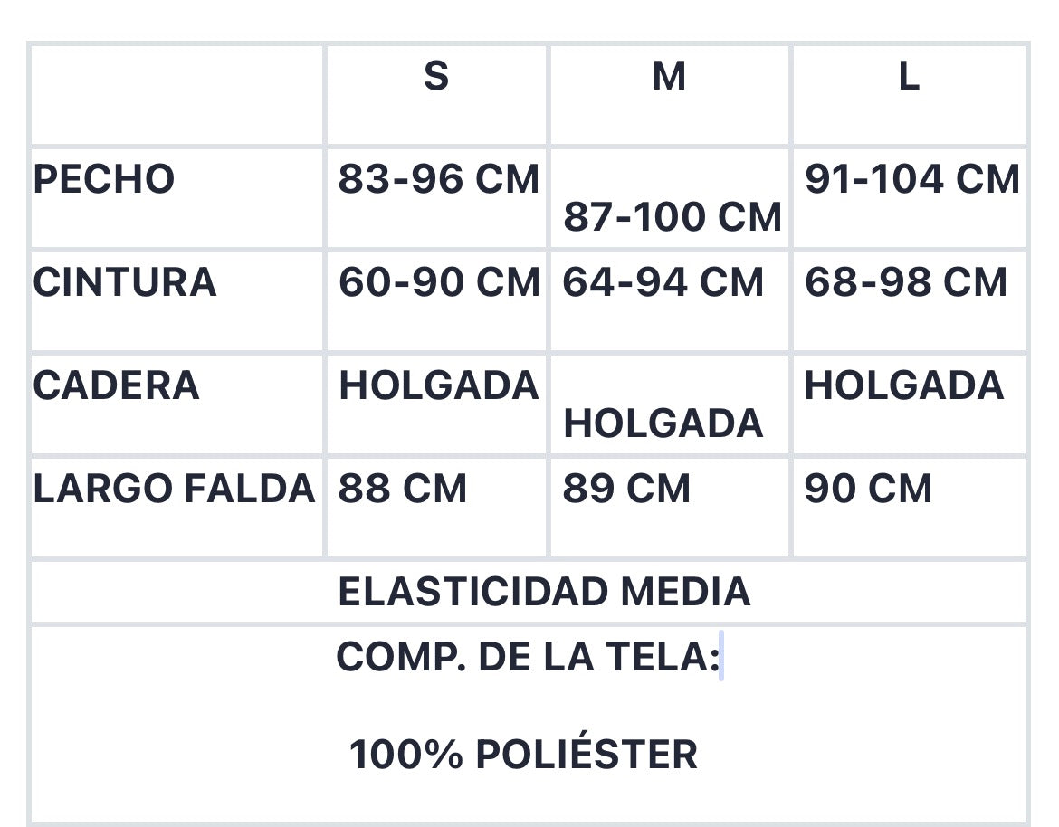 SET DIONICIA